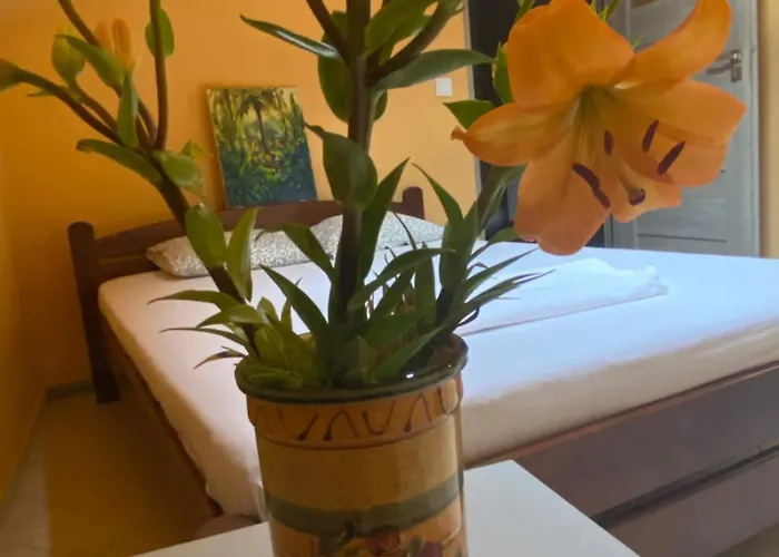 Art Space אכסניה