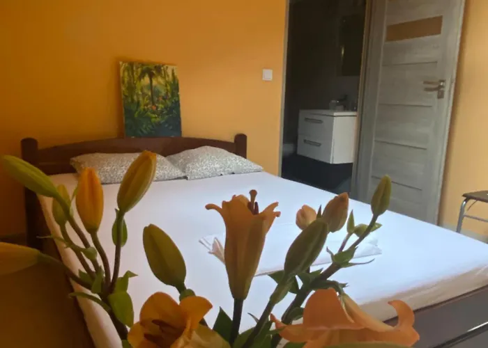 Art Space אכסניה