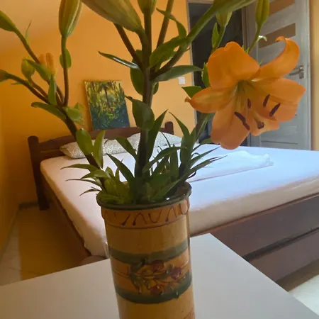Art Space Hostal