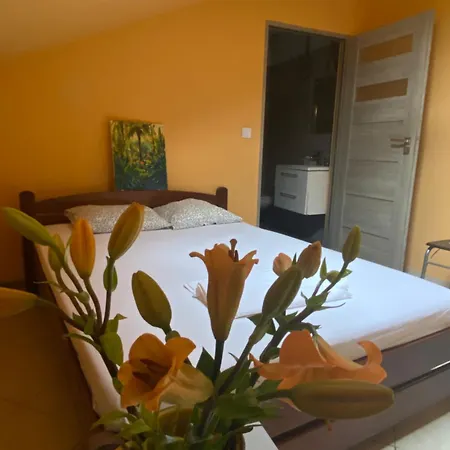Art Space Hostal